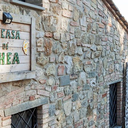 La Casa Di Thea - Flo Apartments Импрунета Екстериор снимка